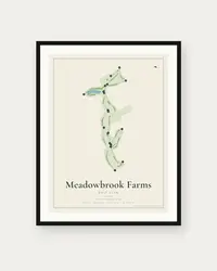 Meadowbrook Farms Golf Club map print, framed poster