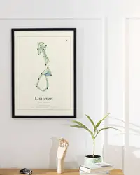 Littleton Golf Course map print, framed in a room