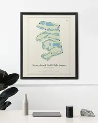 Stoneybrook Golf Club-Estero map print, in a second room